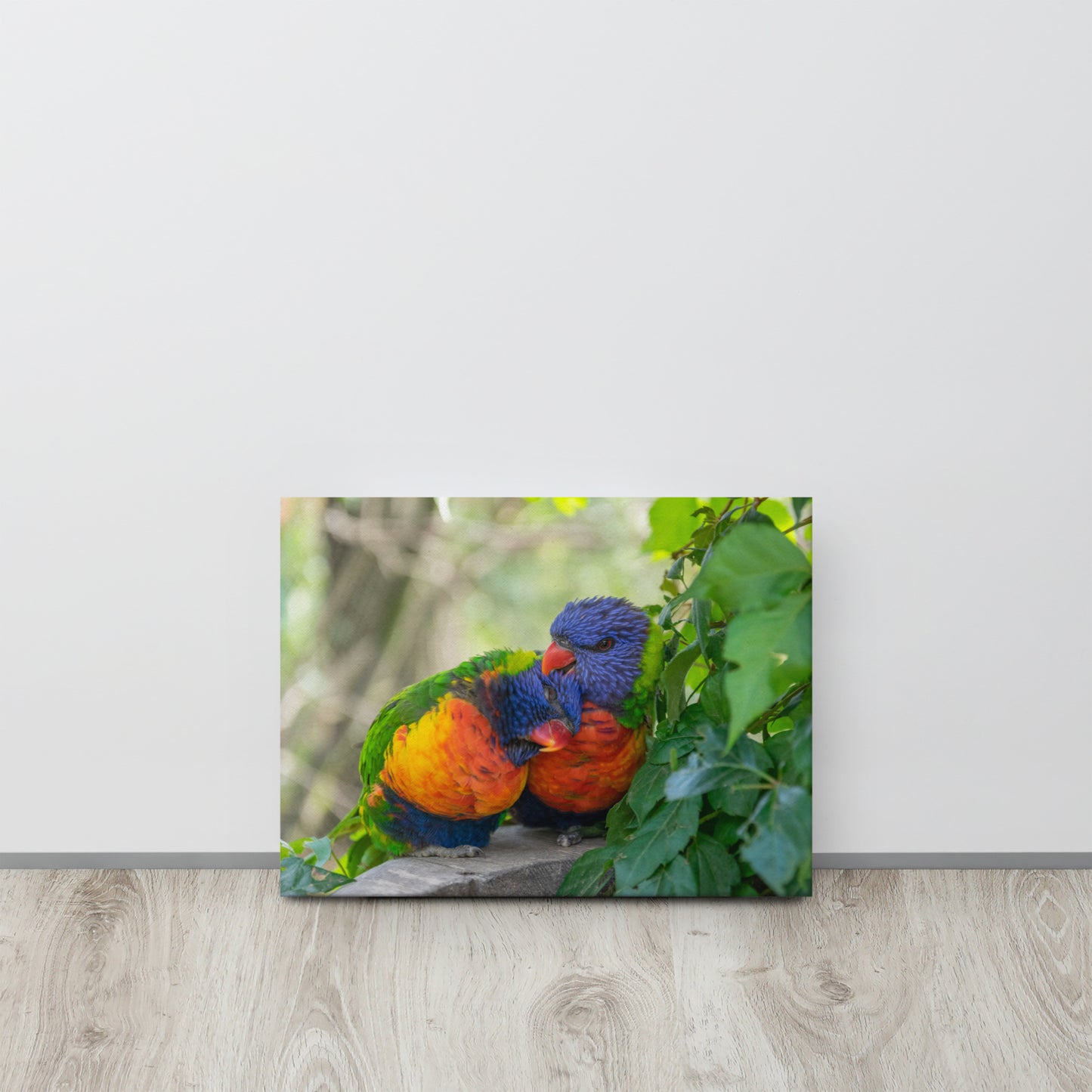 Cuddling Rainbow Lorikeets Canvas Print Size: 12″×16″