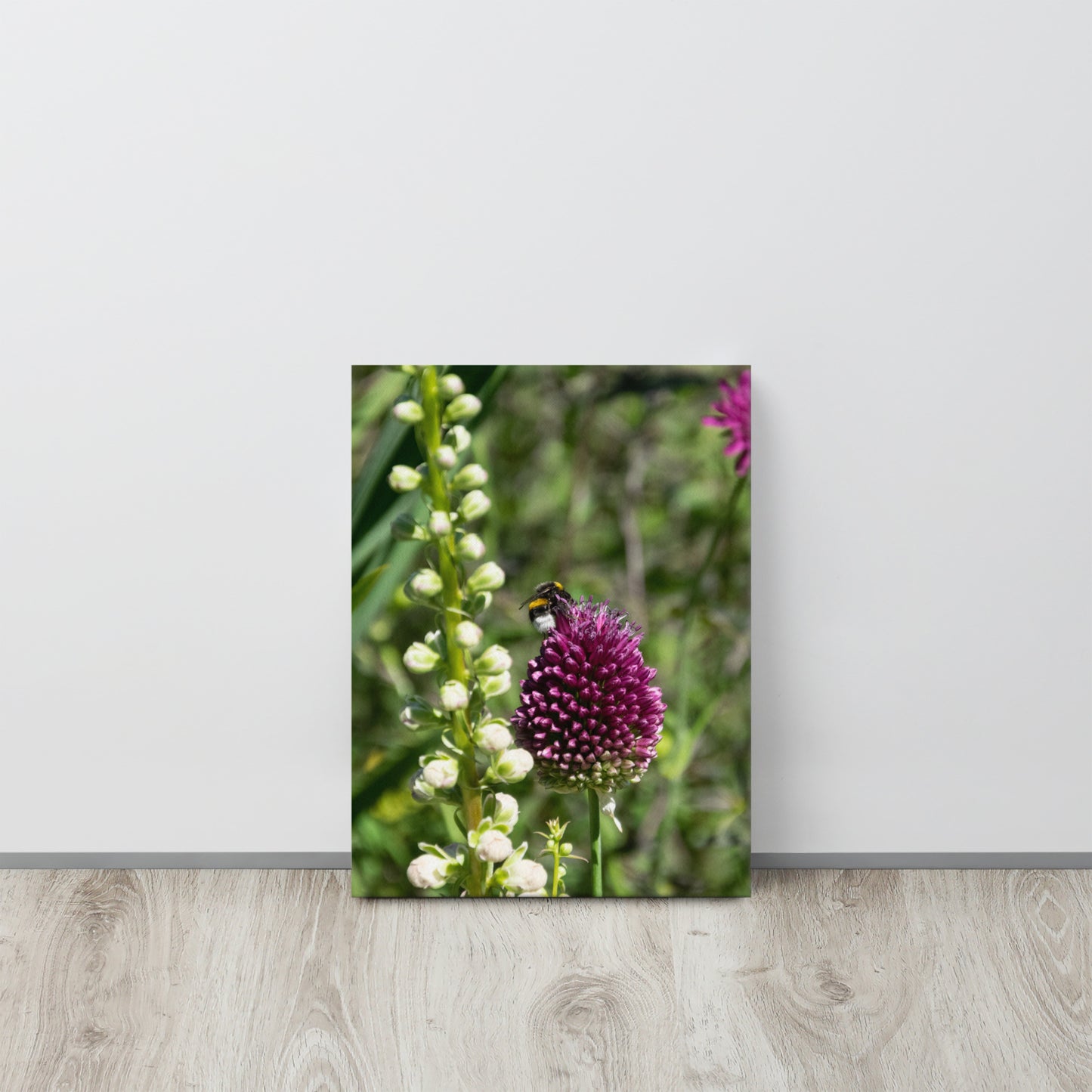 Bee on Wild Allium Flower Canvas Print Size: 12″×16″