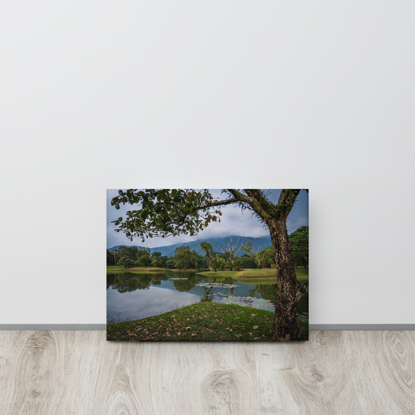 Tranquil Lake Gardens Malaysia Canvas Print Size: 12″×16″