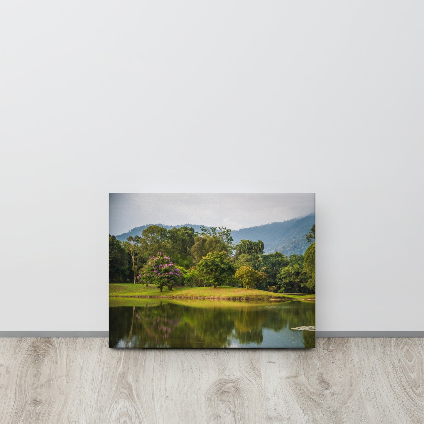 Lake Gardens Tree Reflections Canvas Print Size: 12″×16″