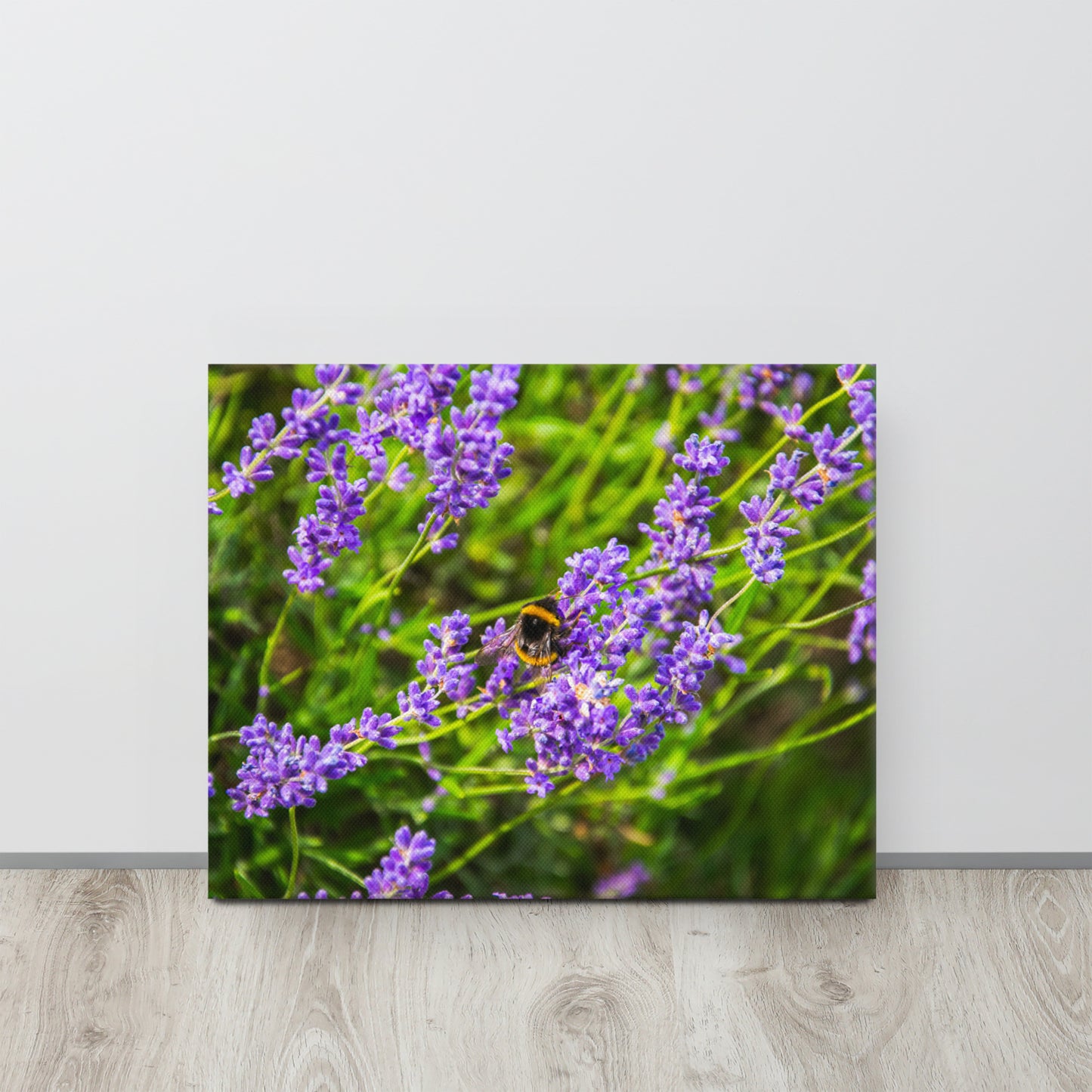 Bee on Lavender Flowers Canvas Print Size: 16″×20″