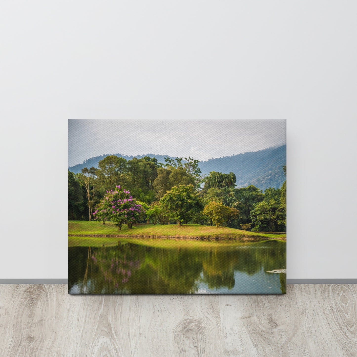 Lake Gardens Tree Reflections Canvas Print Size: 16″×20″