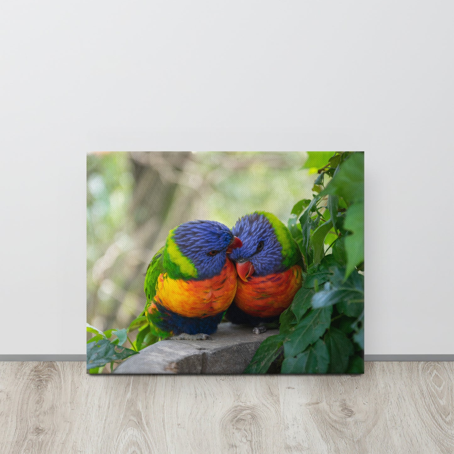 Rainbow Lorikeet Pair Close-Up Canvas Print Size: 16″×20″