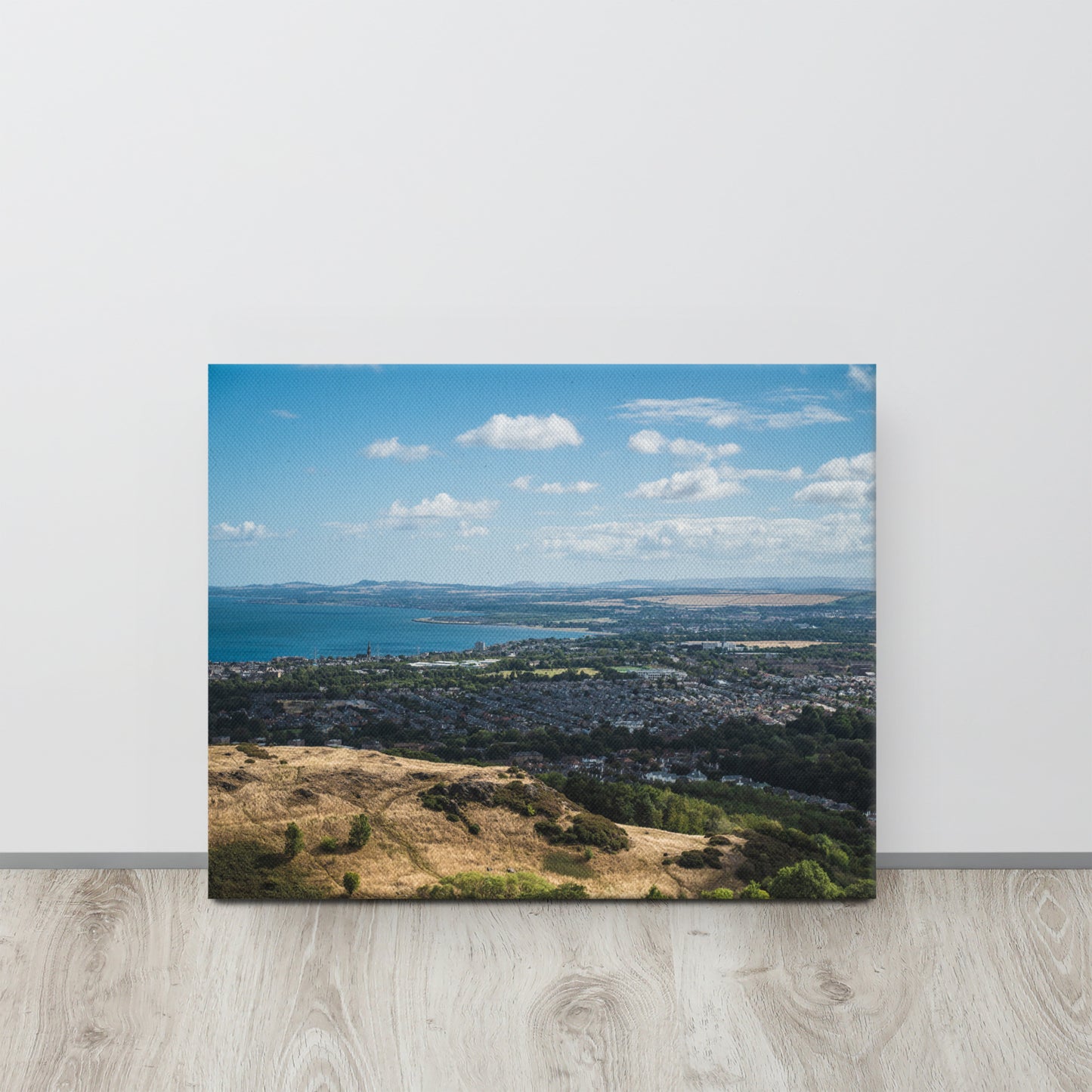 Edinburgh Skyline from Arthur's Seat Canvas Print Size: 16″×20″