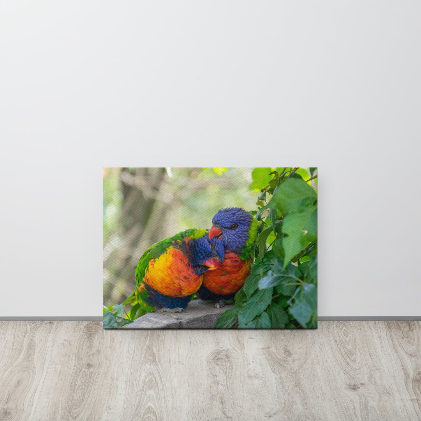 Cuddling Rainbow Lorikeets Canvas Print Size: 18″×24″