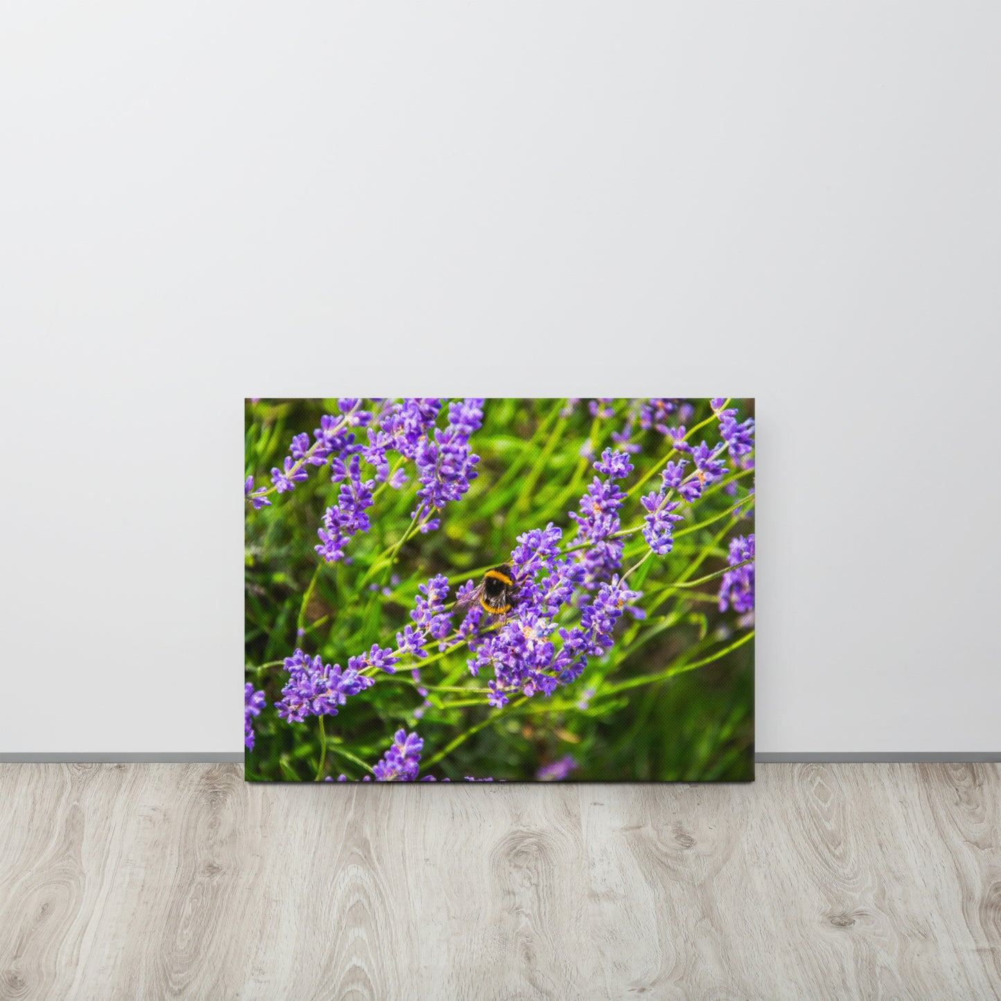 Bee on Lavender Flowers Canvas Print Size: 18″×24″