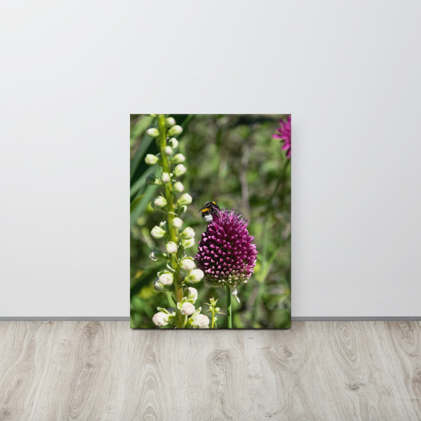 Bee on Wild Allium Flower Canvas Print Size: 18″×24″