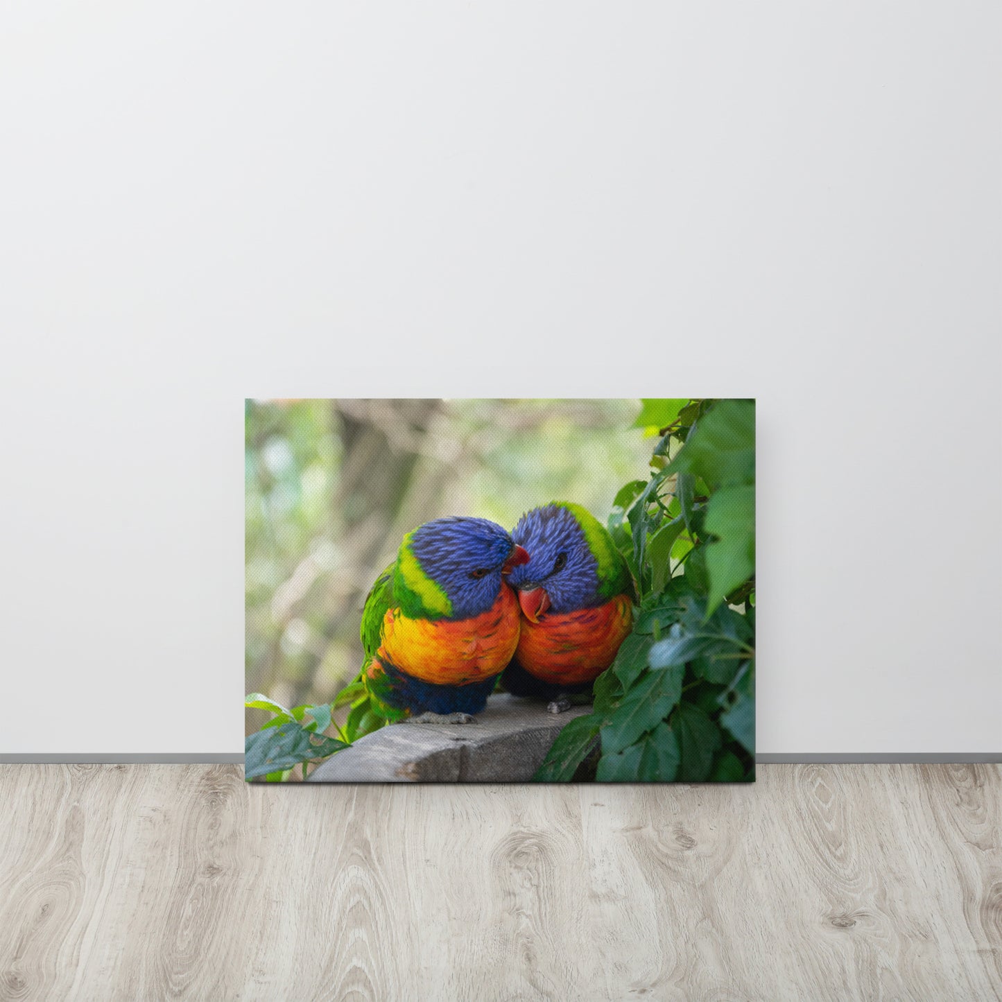Rainbow Lorikeet Pair Close-Up Canvas Print Size: 18″×24″