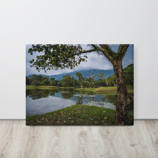 Tranquil Lake Gardens Malaysia Canvas Print Size: 24″×32″