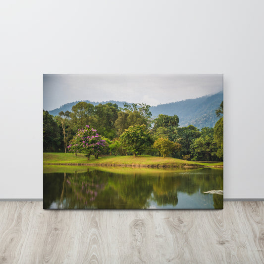 Lake Gardens Tree Reflections Canvas Print Size: 24″×32″