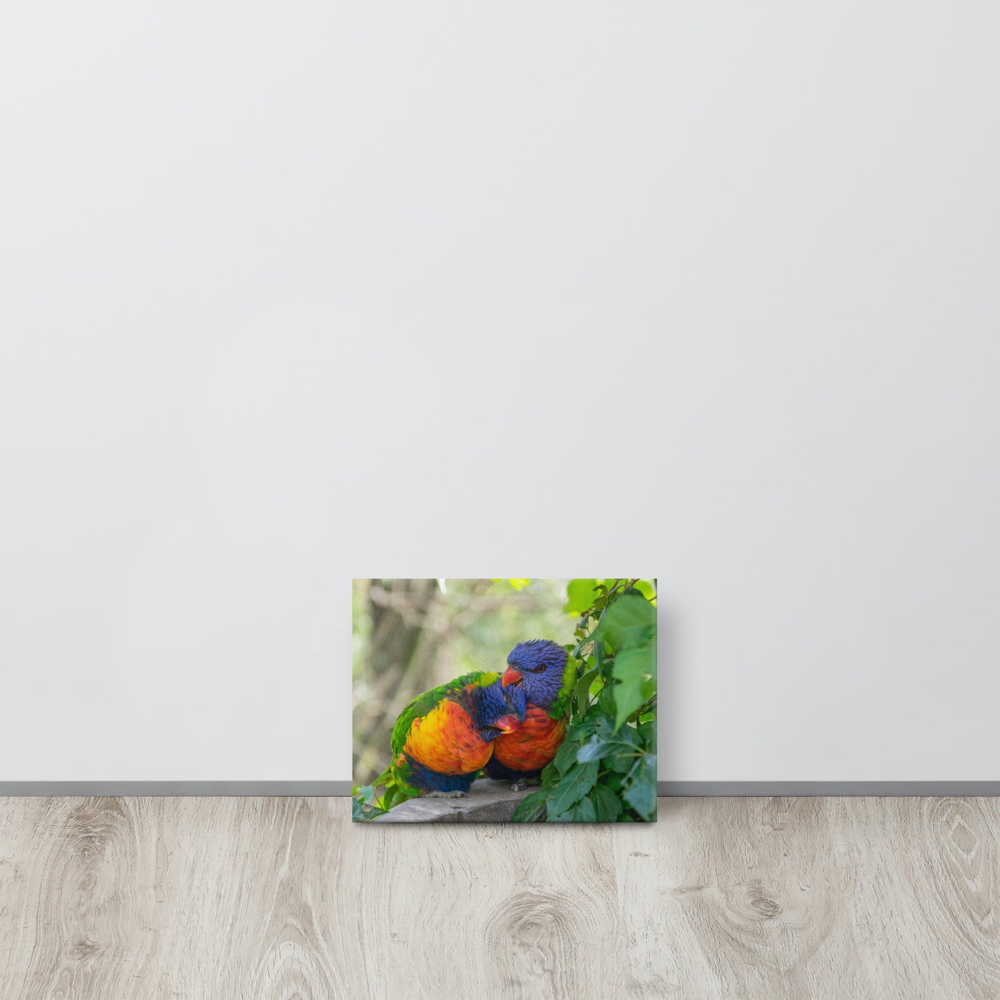 Cuddling Rainbow Lorikeets Canvas Print Size: 8″×10″