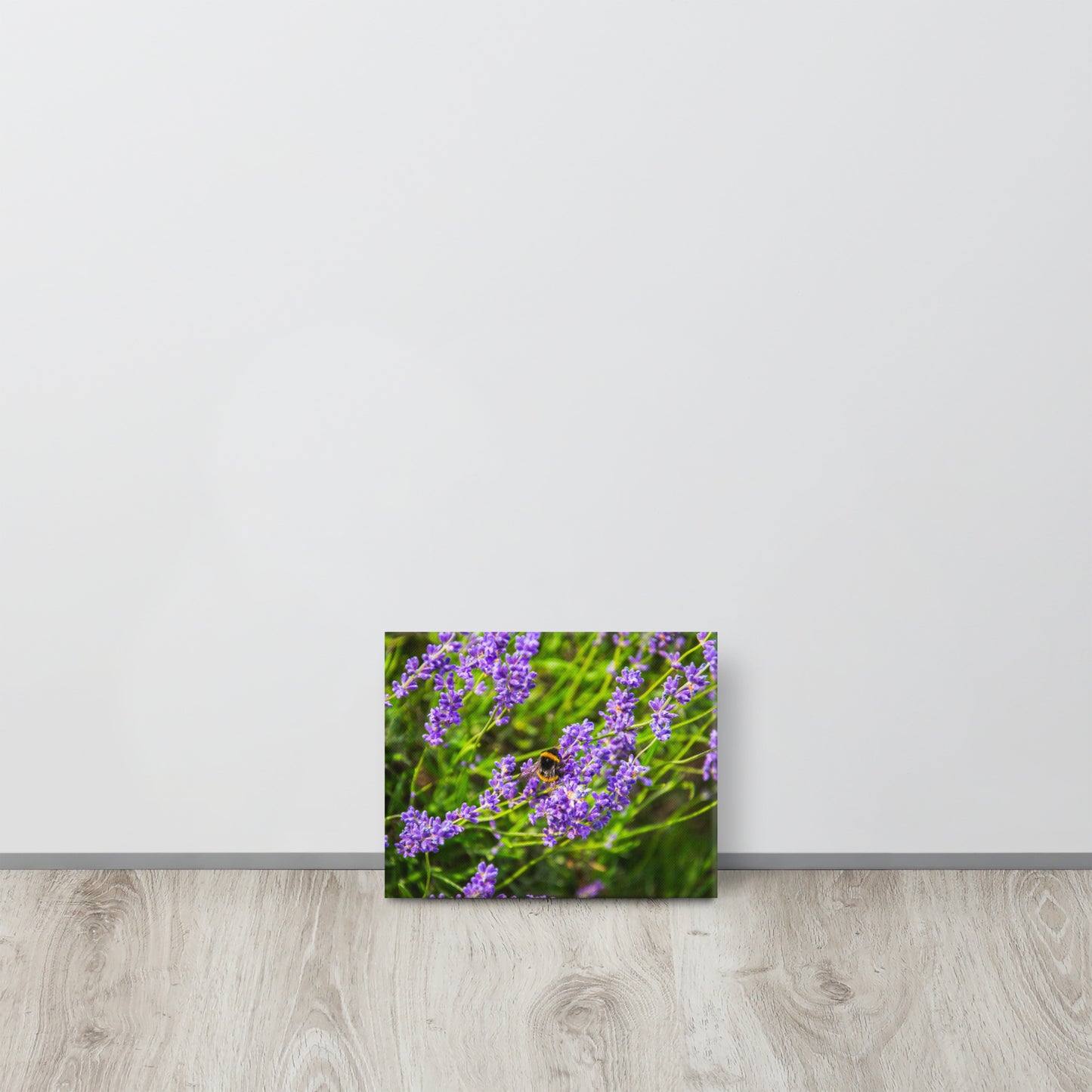 Bee on Lavender Flowers Canvas Print Size: 8″×10″