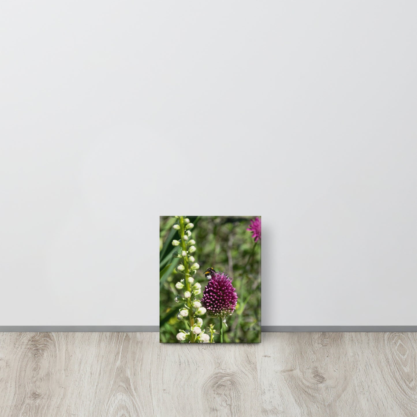 Bee on Wild Allium Flower Canvas Print Size: 8″×10″