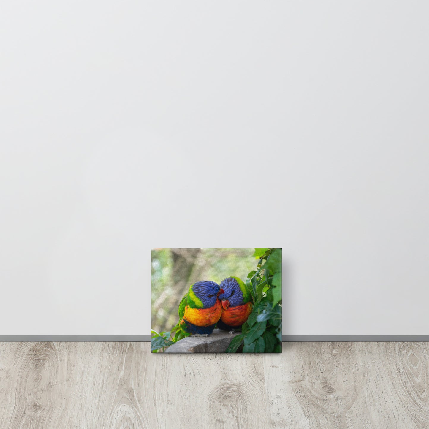 Rainbow Lorikeet Pair Close-Up Canvas Print Size: 8″×10″
