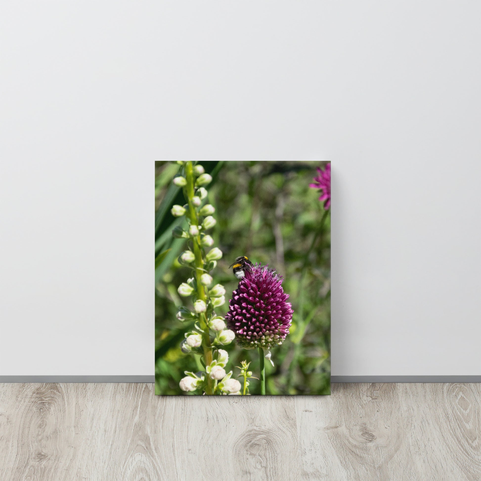 Bee on Wild Allium Flower Canvas Print Size: 12″×16″