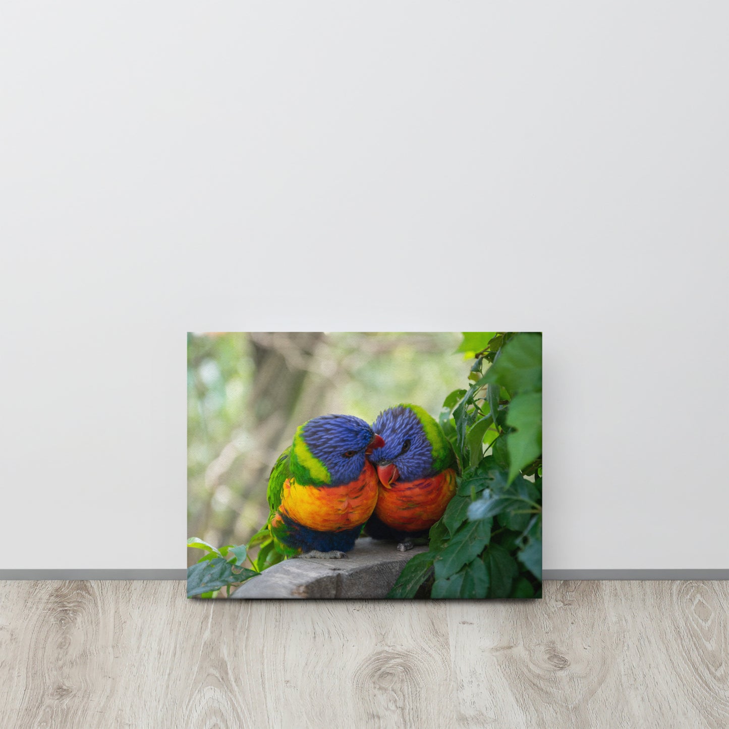 Rainbow Lorikeet Pair Close-Up Canvas Print Size: 12″×16″