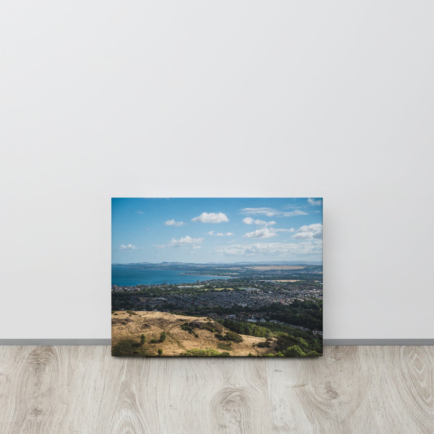 Edinburgh Skyline from Arthur's Seat Canvas Print Size: 12″×16″