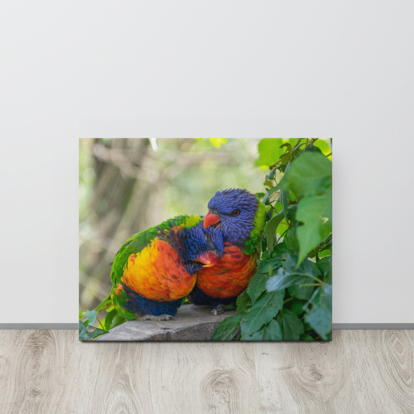 Cuddling Rainbow Lorikeets Canvas Print Size: 16″×20″