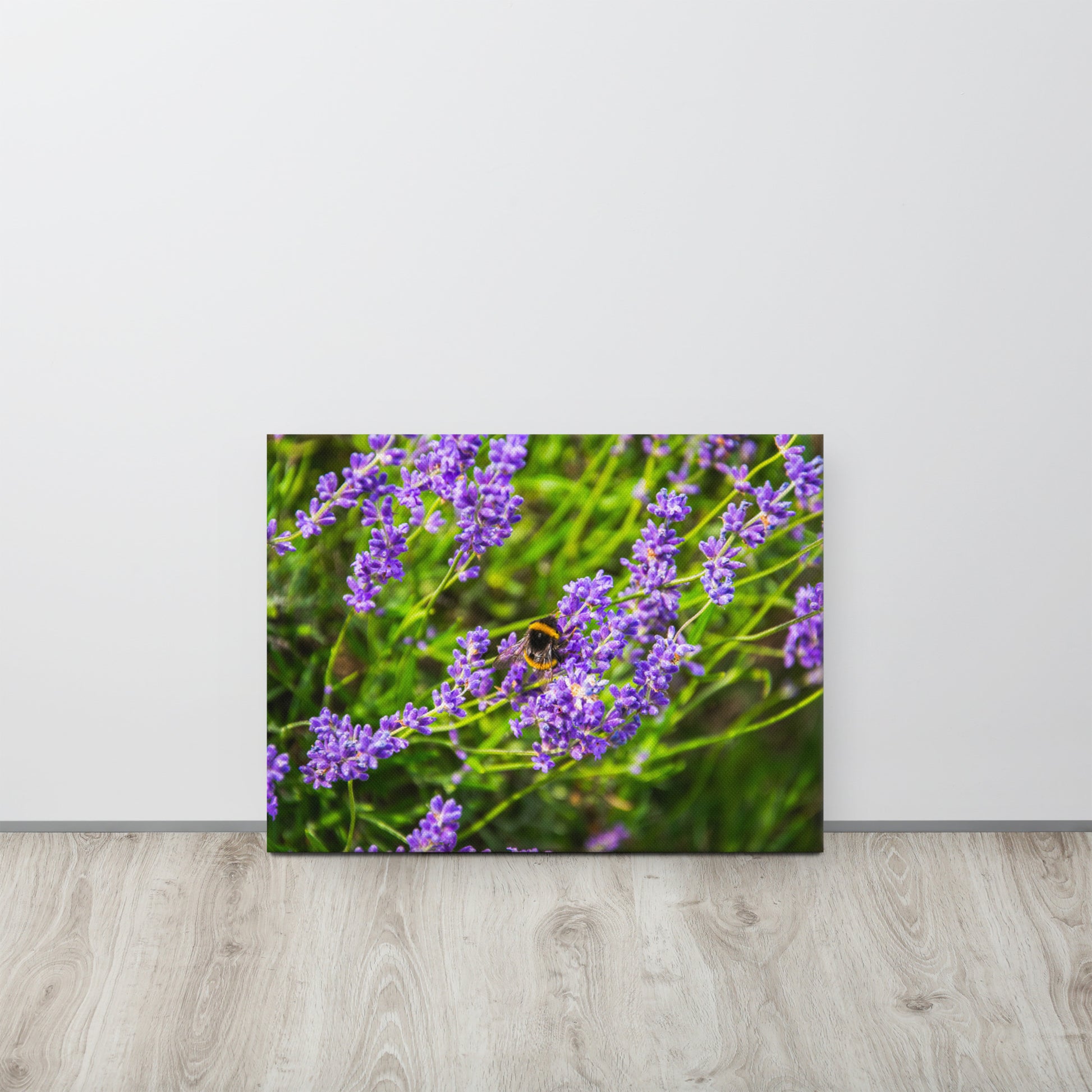 Bee on Lavender Flowers Canvas Print Size: 18″×24″